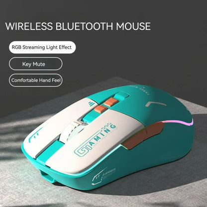 EWEADN G308 Rechargeable RGB Mouse Gaming